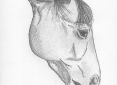 Fonds d'cran Art - Crayon Cheval