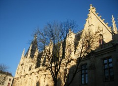 Fonds d'cran Constructions et architecture le palais de justice de rouen sous le soleil devant un arbre