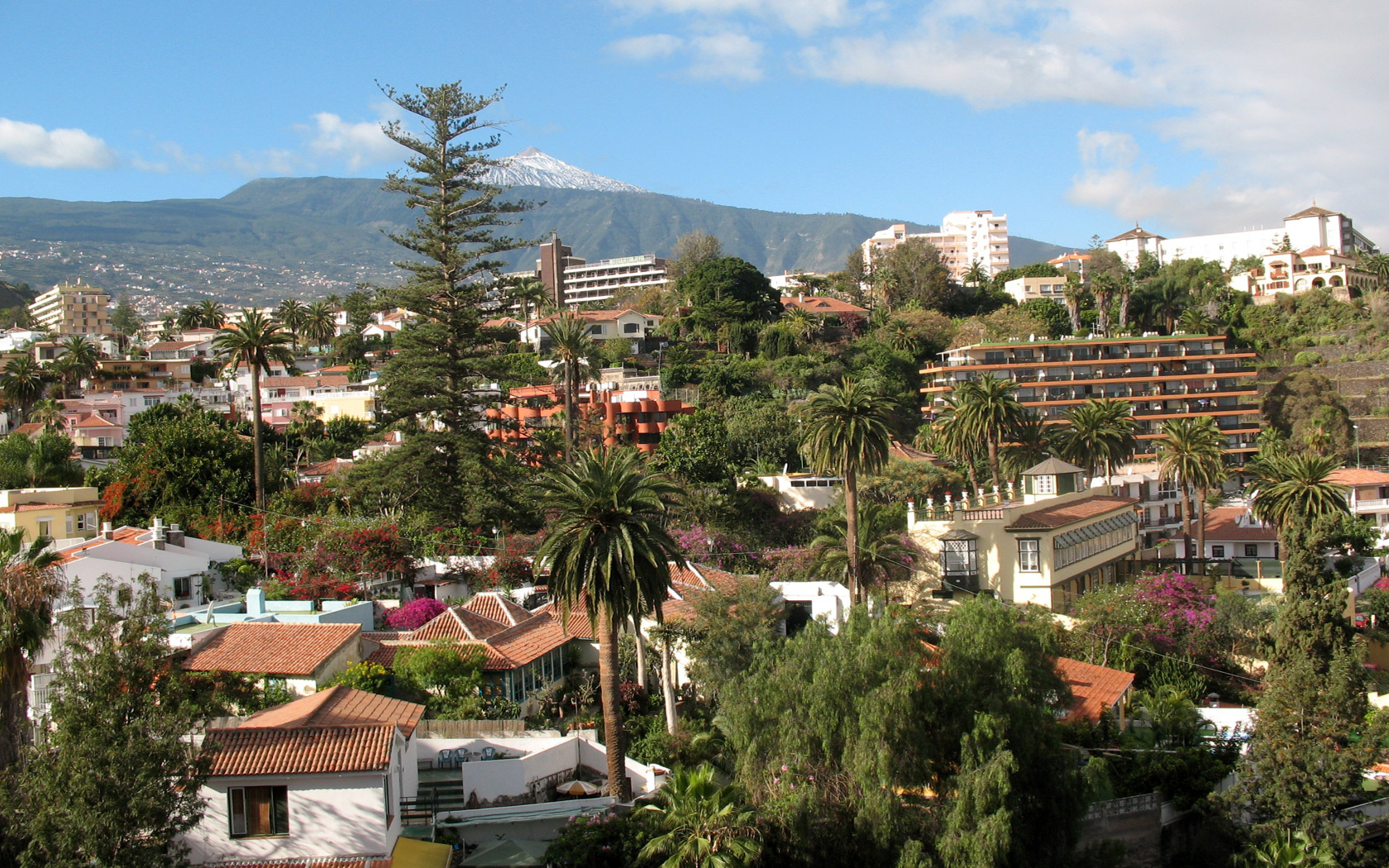 Fonds d'cran Voyages : Afrique Les Canaries Puerto de la Cruz