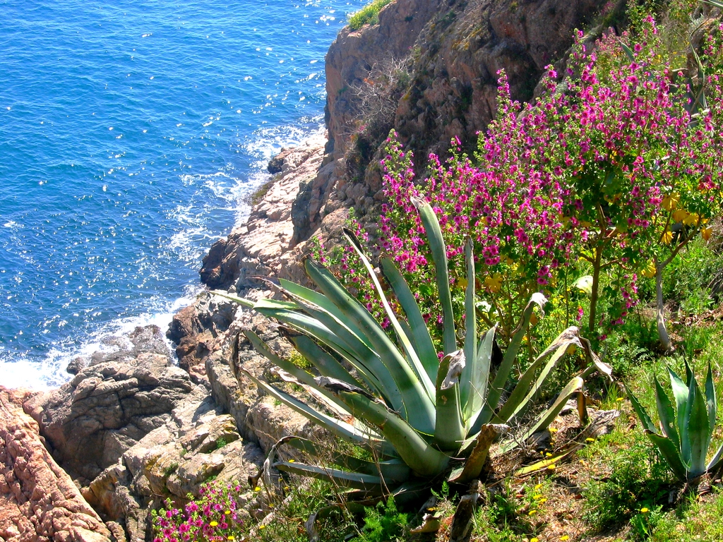 Fonds d'cran Nature Mers - Ocans - Plages 