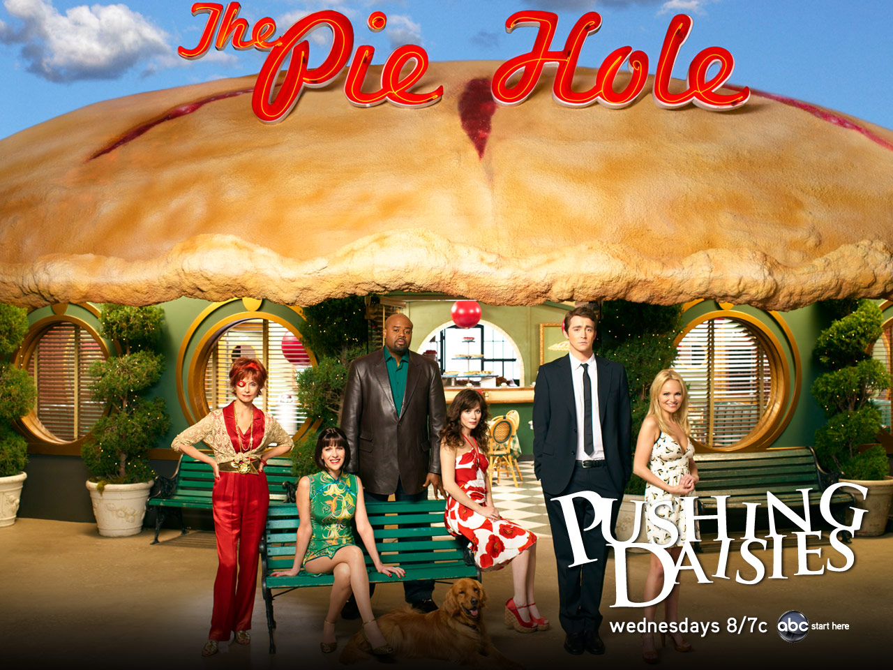 Wallpapers TV Soaps Pushing Daisies 