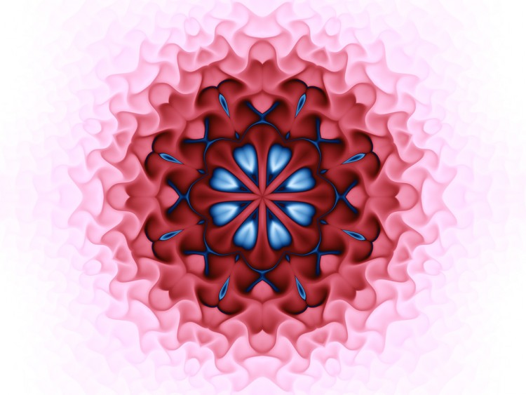 Fonds d'cran Art - Numrique Nature - Fleurs Fleur Mandala