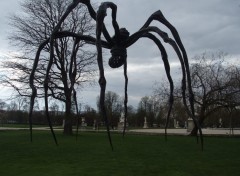 Fonds d'cran Constructions et architecture Maman, de Louise Bourgeois