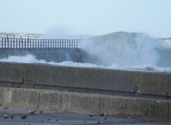 Fonds d'cran Nature vagues