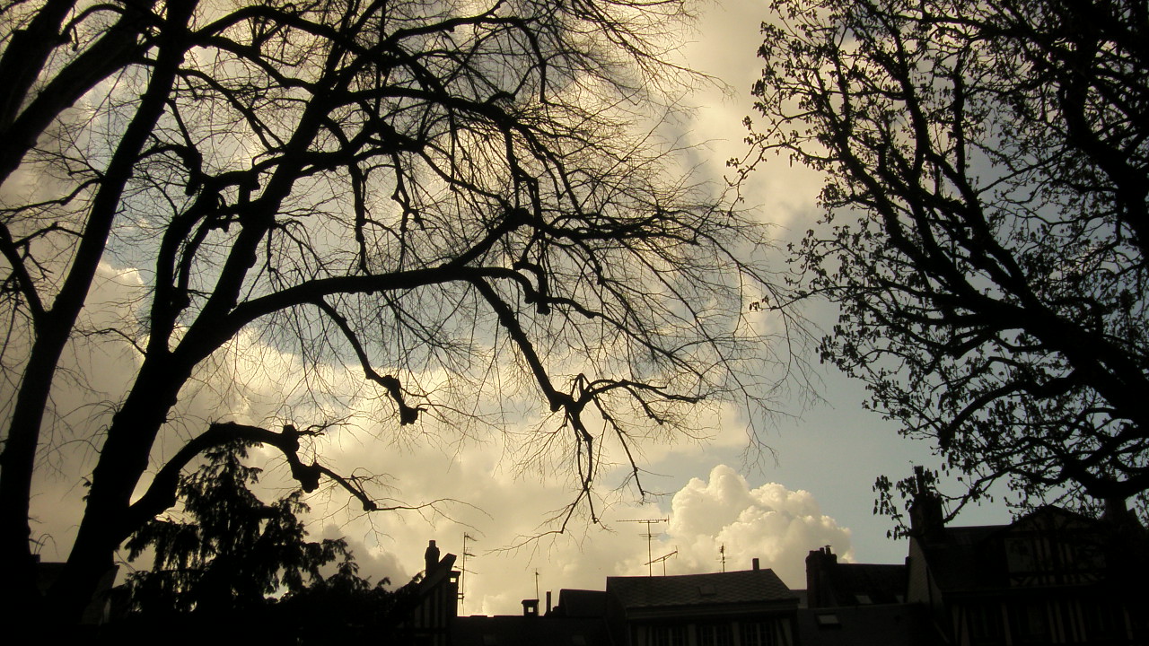 Fonds d'cran Nature Ciel - Nuages des nuages  travers les arbres