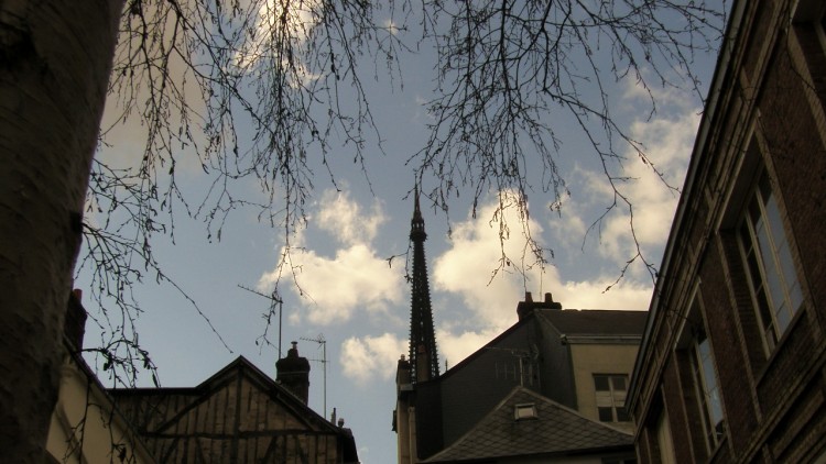 Wallpapers Constructions and architecture Religious Buildings le clocher de la cathdrale drrire un arbre au soleil