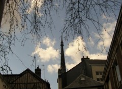 Wallpapers Constructions and architecture le clocher de la cathdrale drrire un arbre au soleil