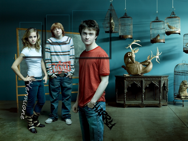 Fonds d'cran Cinma Harry Potter 