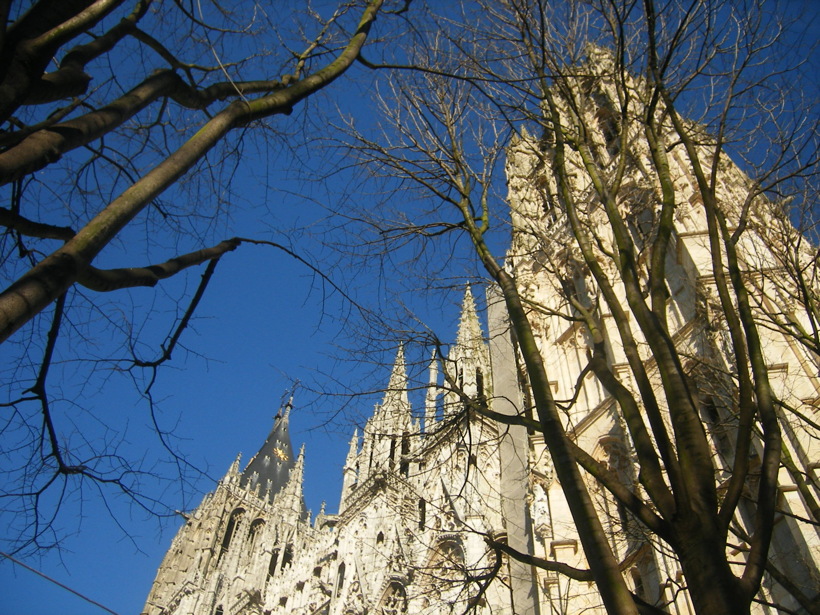 Fonds d'cran Constructions et architecture Edifices Religieux la cathdrale en perspective derrire des arbres sous un ciel bleu parfait