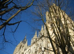 Fonds d'cran Constructions et architecture la cathdrale en perspective derrire des arbres sous un ciel bleu parfait