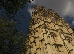 Fonds d'cran Constructions et architecture la tour de beure sous un nuage et les ombres et les arbres