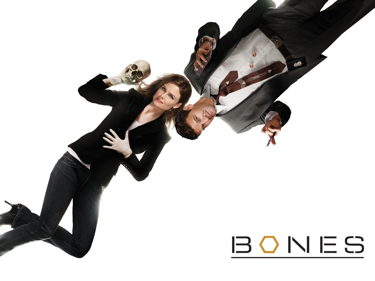 Fonds d'cran Sries TV Bones 