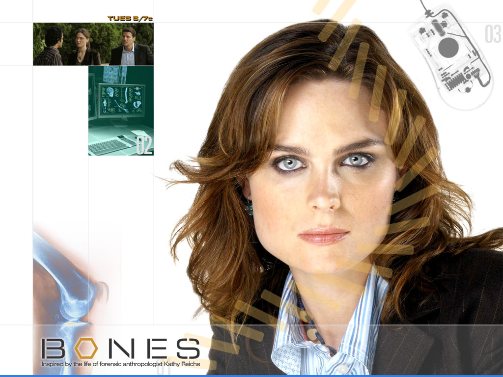 Wallpapers TV Soaps Bones 