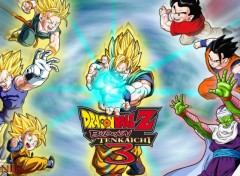 Fonds d'cran Jeux Vido DBZ tenkaichi 3 la suite d'une suite...