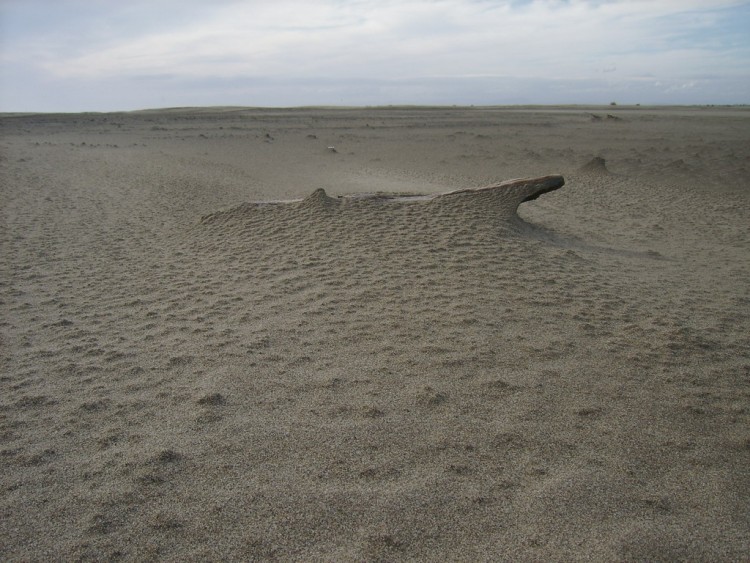 Fonds d'cran Nature Roches - Pierres - Sables  bois