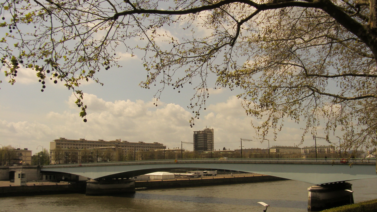 Fonds d'cran Nature Fleuves - Rivires - Torrents le ciel bleu et une branche sur la seine