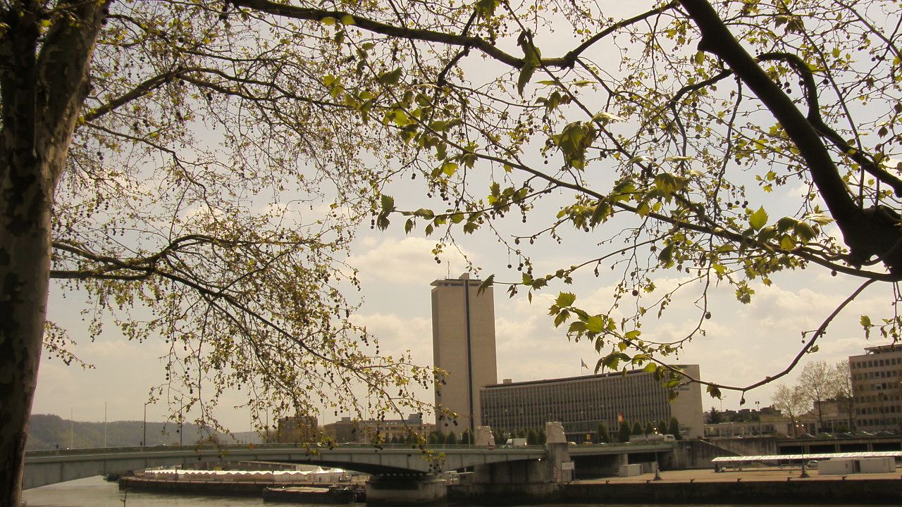 Fonds d'cran Constructions et architecture Monde moderne une branche suspendue sur la seine