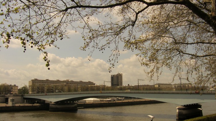 Fonds d'cran Nature Fleuves - Rivires - Torrents le ciel bleu et une branche sur la seine