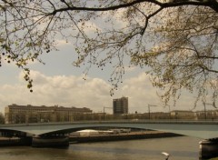 Fonds d'cran Nature le ciel bleu et une branche sur la seine