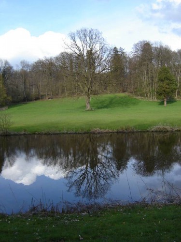 Wallpapers Trips : Europ Belgium Arbre Reflet - Chateau des cailloux