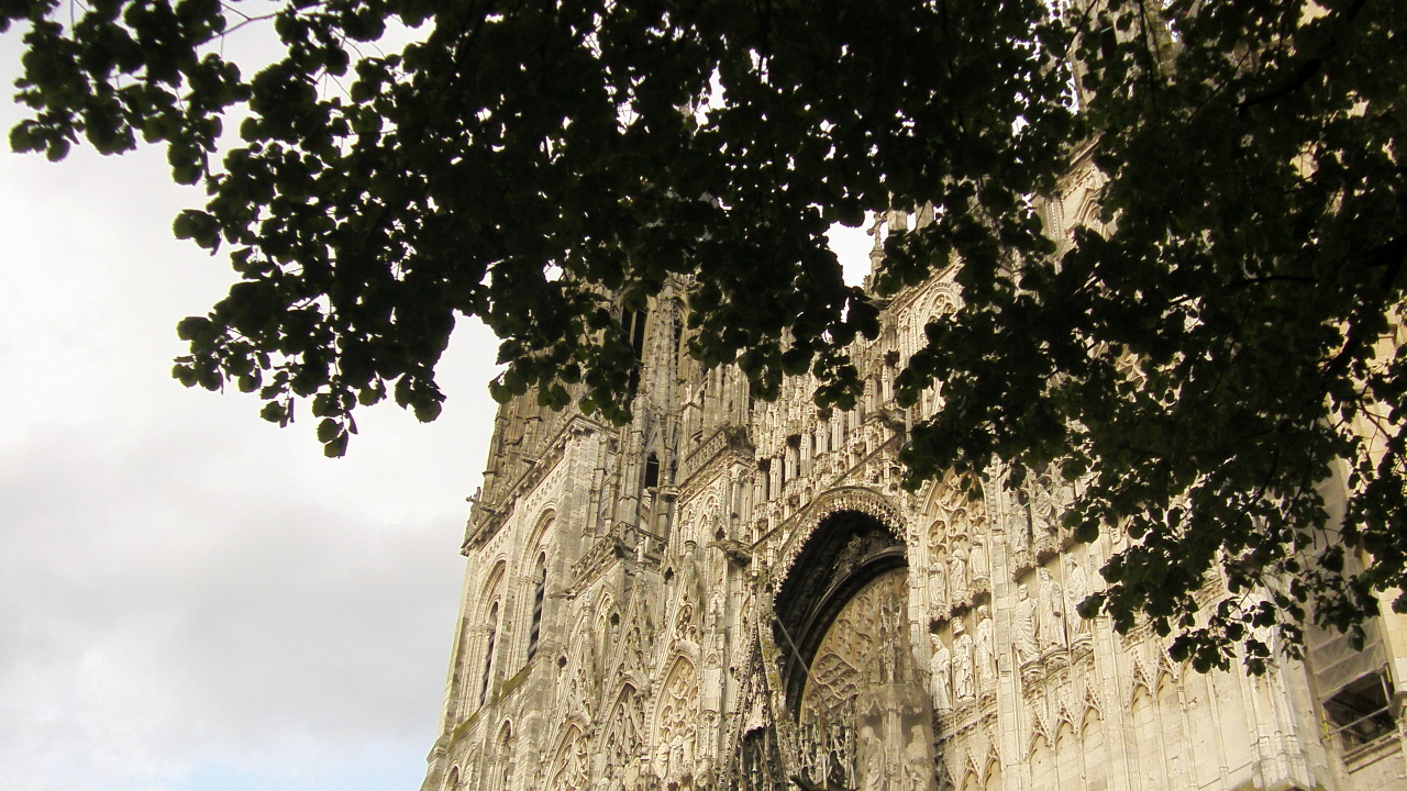 Wallpapers Constructions and architecture Religious Buildings la cathdrale suspendue aux branches