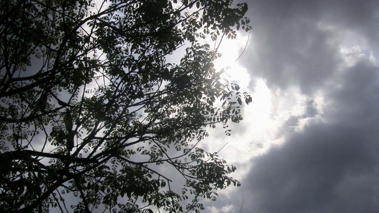 Fonds d'cran Nature Ciel - Nuages des branches suspendues au soleil