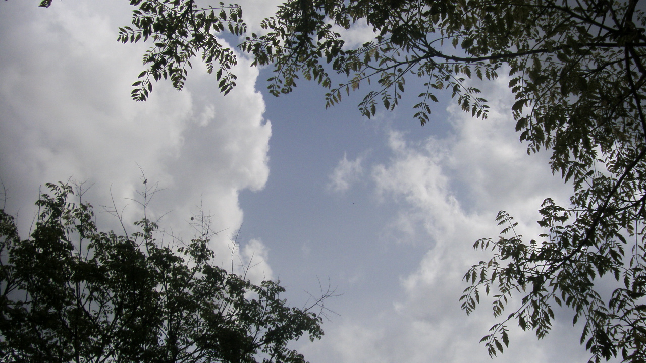 Fonds d'cran Nature Ciel - Nuages les arbres entourent les nuages