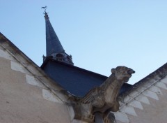 Fonds d'cran Constructions et architecture Eglise de Romorantin avec Gargouille (41200)