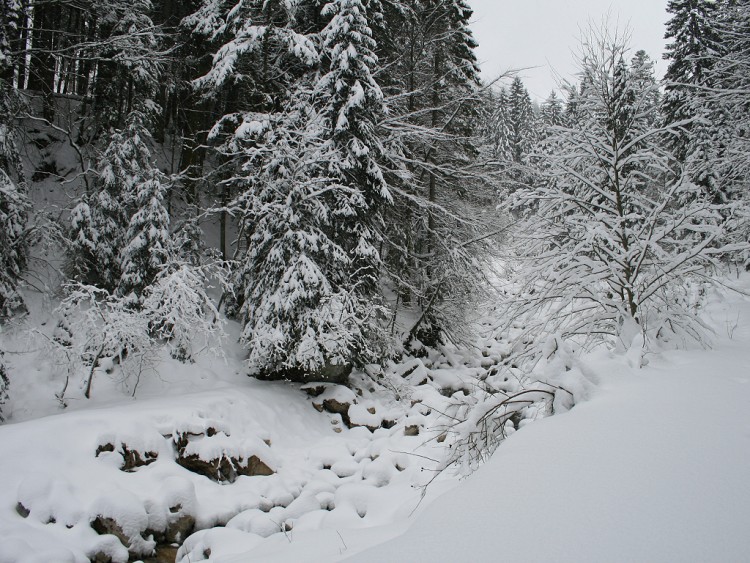 Fonds d'cran Nature Saisons - Hiver Une couche de neige