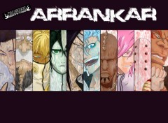 Fonds d'cran Manga Arrankar