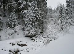 Fonds d'cran Nature Une couche de neige