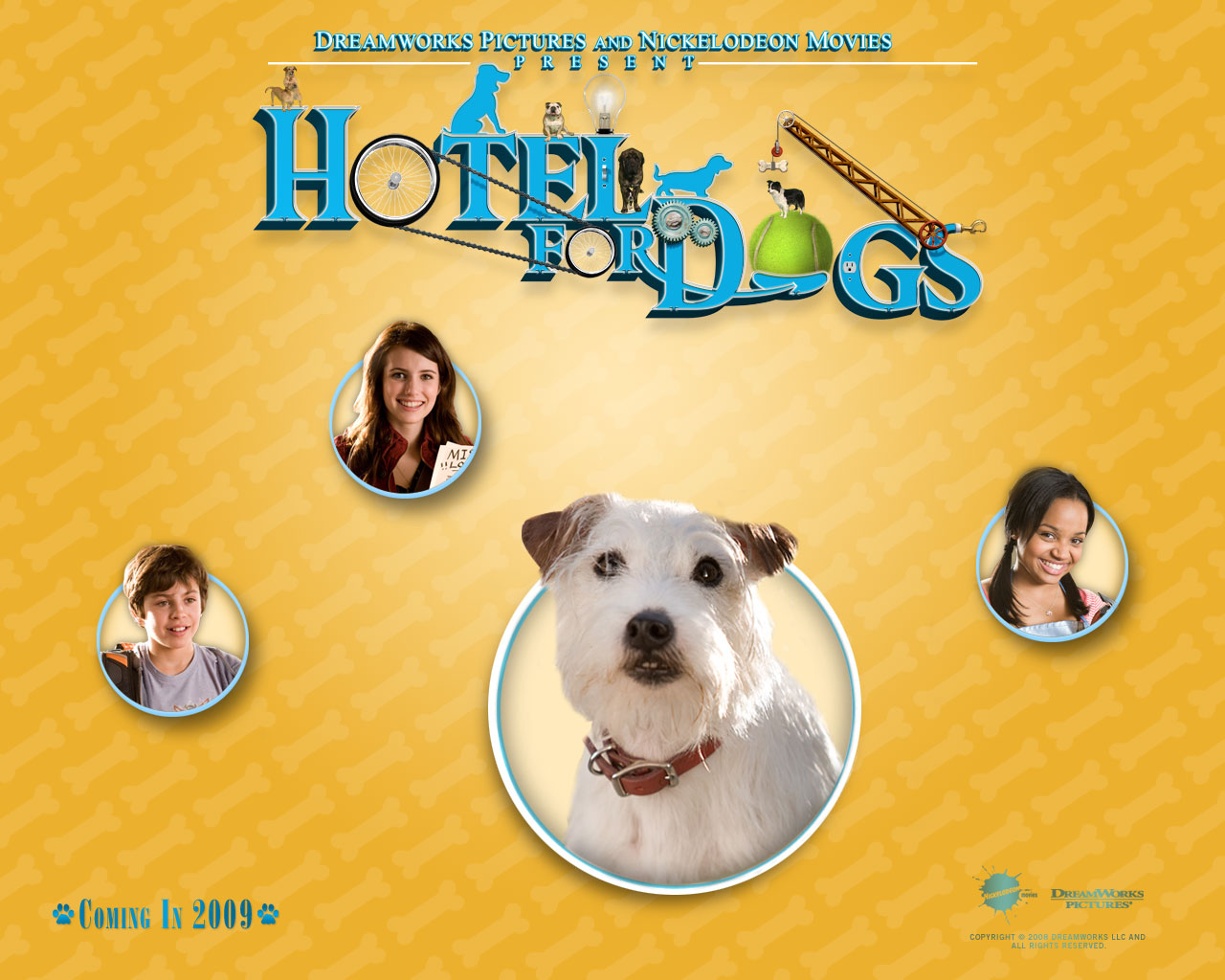 Wallpapers Movies Hotel for Dogs 