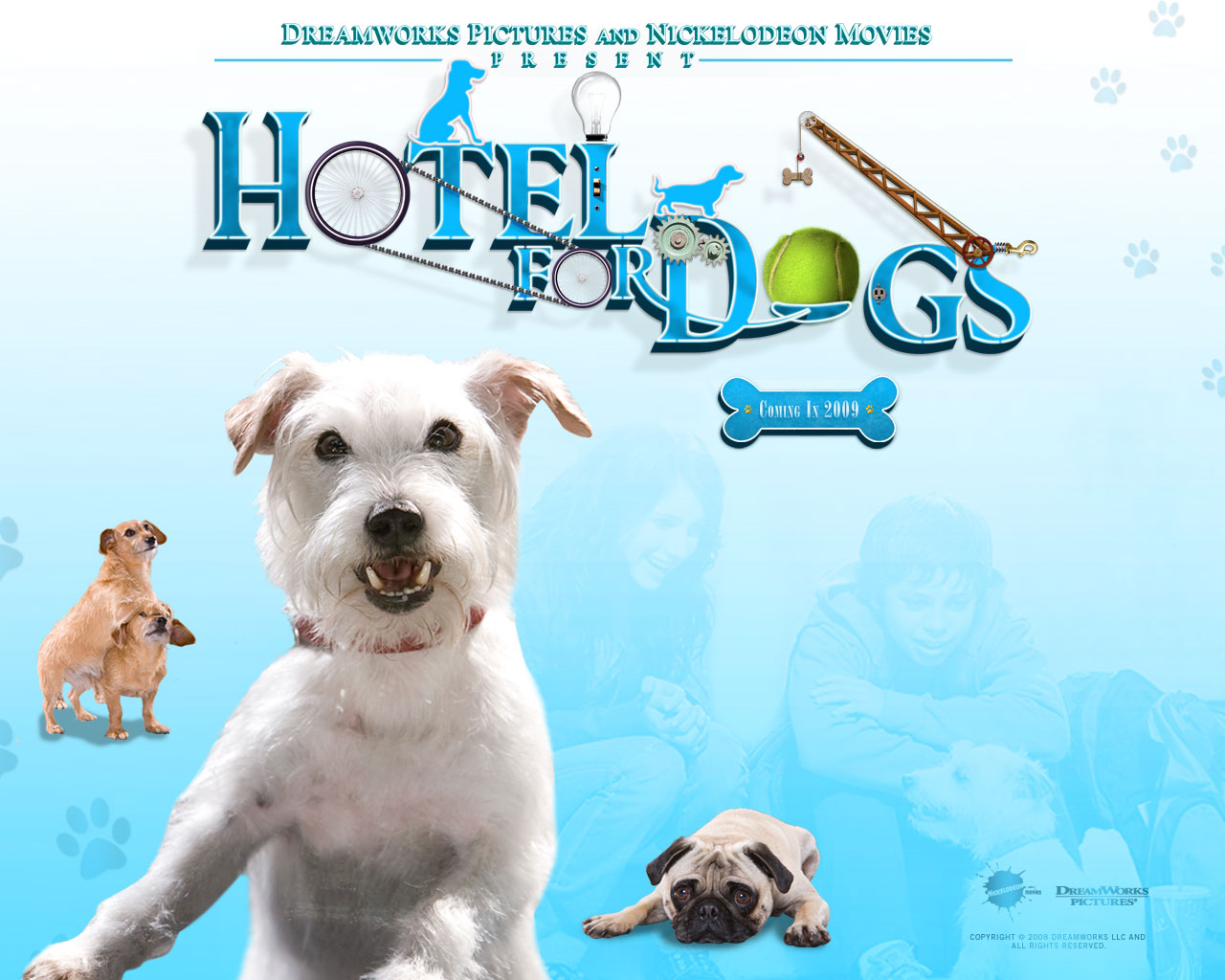 Wallpapers Movies Hotel for Dogs 