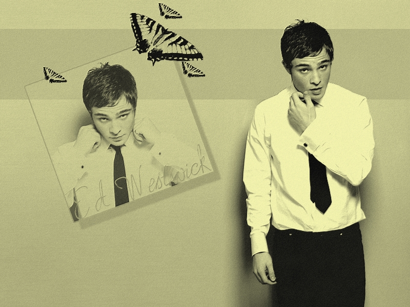 Fonds d'cran Clbrits Homme Ed Westwick 