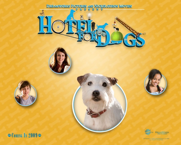 Wallpapers Movies Hotel for Dogs Wallpaper N201559