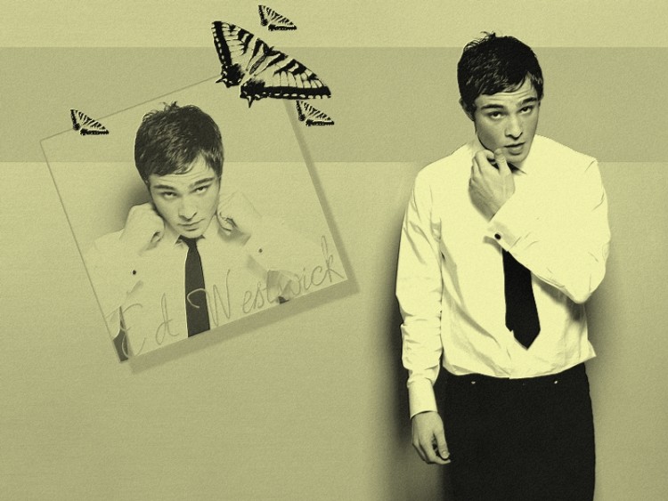 Fonds d'cran Clbrits Homme Ed Westwick Wallpaper N201454