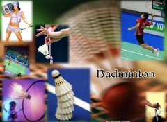 Wallpapers Sports - Leisures Badminton