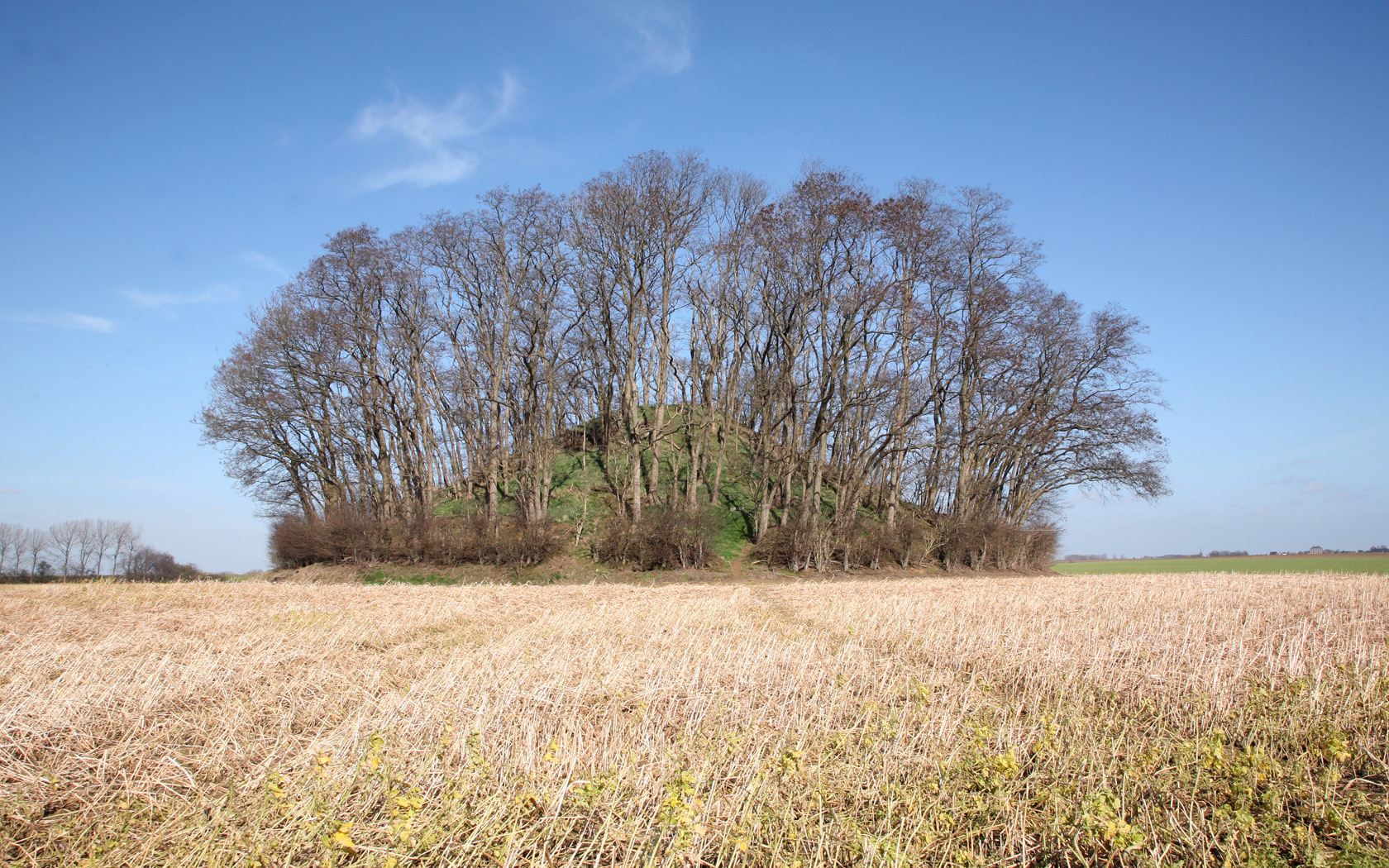 Fonds d'cran Constructions et architecture Statues - Monuments Tumulus d'Hottomont le Grand