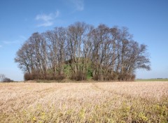 Fonds d'cran Constructions et architecture Tumulus d'Hottomont le Grand