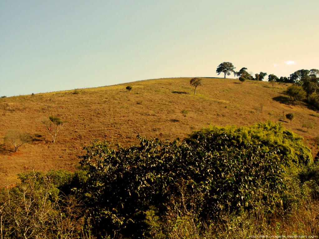 Fonds d'cran Nature Paysages Paradise