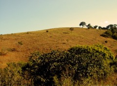 Fonds d'cran Nature Paradise