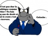 Wallpapers Humor Le chat