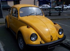 Wallpapers Cars Volkswagen Coccinelle