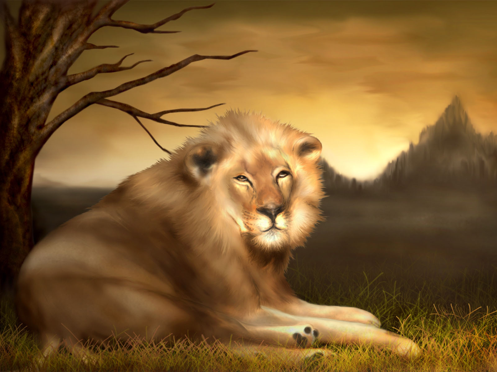 Wallpapers Animals Felines - Lions 