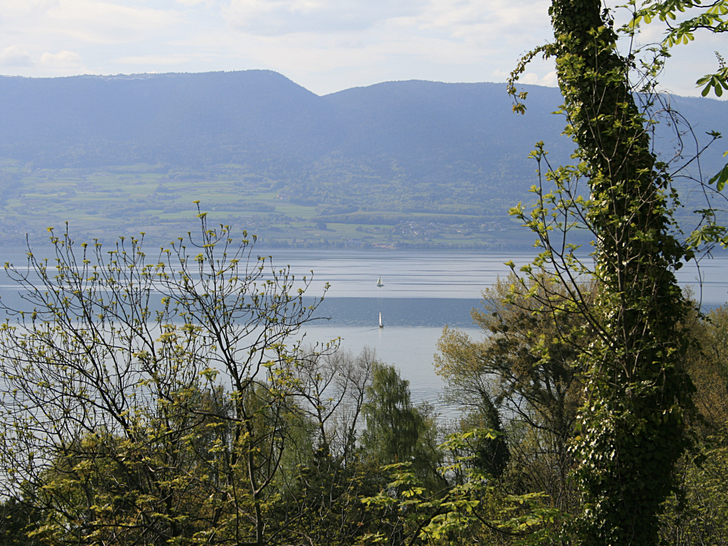 Fonds d'cran Nature Paysages Un lac en Suisse