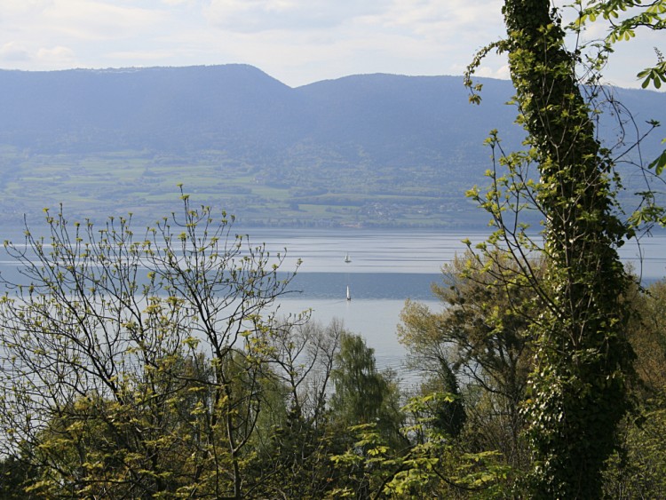 Fonds d'cran Nature Paysages Un lac en Suisse