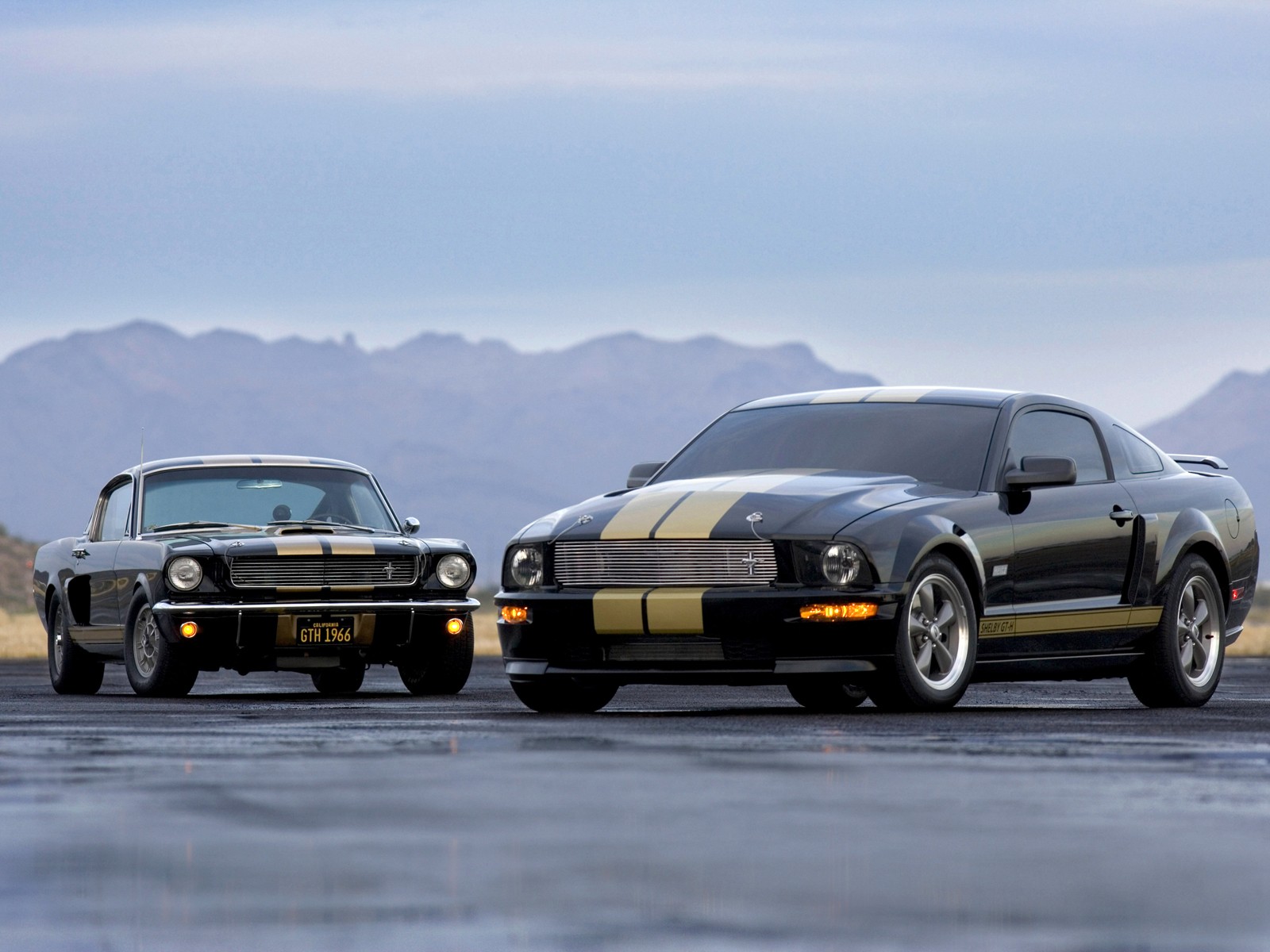 Fonds d'cran Voitures Shelby GT-H