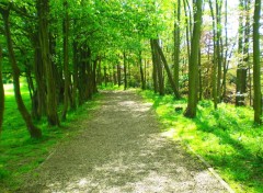 Fonds d'cran Nature Sentier