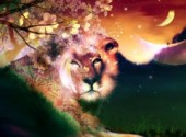 Wallpapers Animals Lion