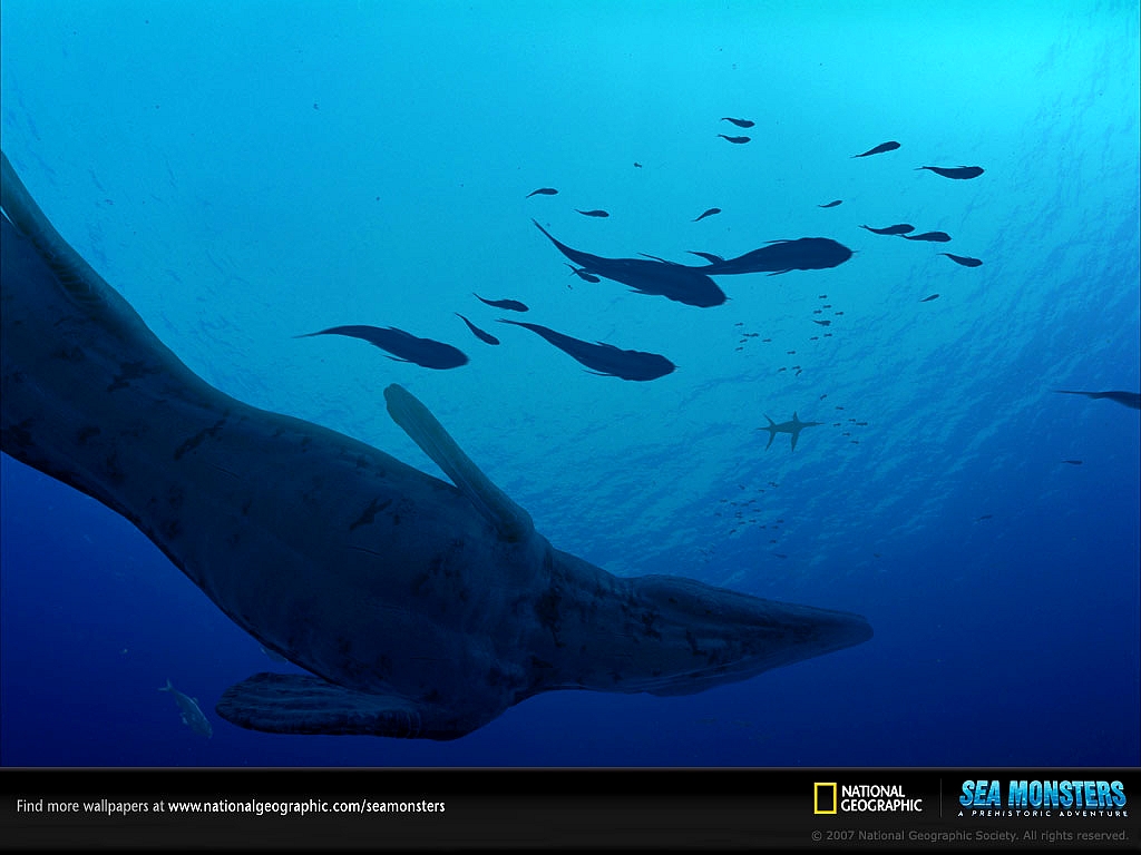 Fonds d'cran Animaux Vie marine - Divers tylosaurus